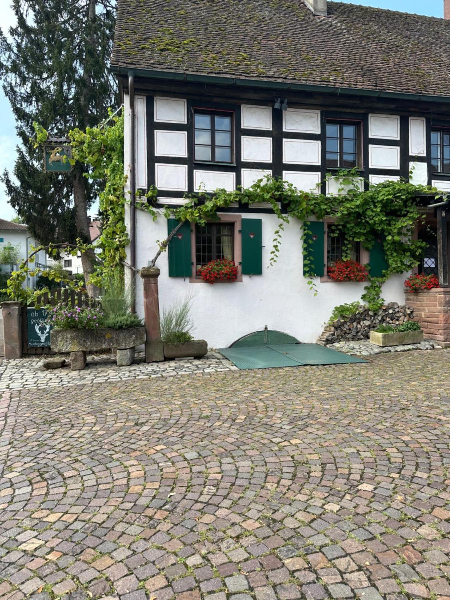 Exklusive Maisonette-Wohnung Am Rande Von Freiburg 美泽森 外观 照片